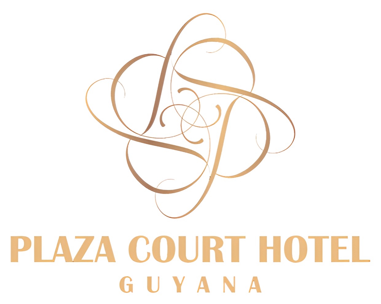 Palm Court Hotel Guyana logo